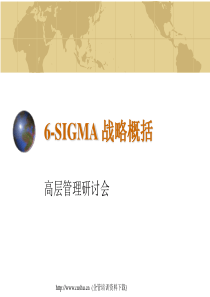 6-SIGMA 战略概括(1)