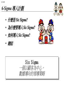 6-Sigma导入计划