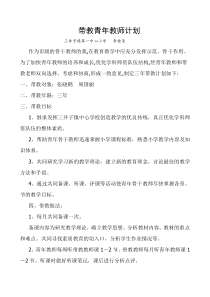 带教青年教师计划