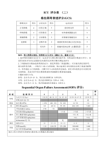 SOFA评分表