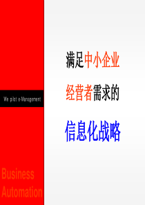 满足中小企业经营者需求的信息化战略.ppt40页