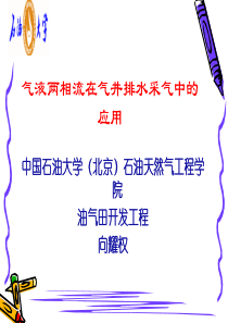 气液两相流在气井排水采气软件中的应用修改