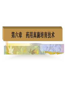 真菌培育技术