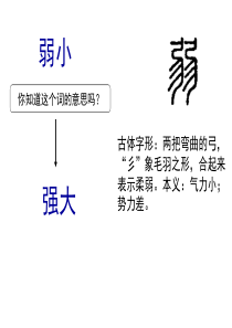 苏教版四下14《我不是最弱小的》2016版 原版