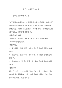 小学实验教师考核方案