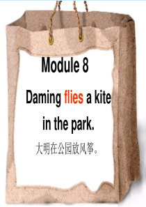 三年级下M8_U2_Daming_flies_a_kite_in_the_park