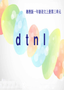 《dtnl》PPT课件6