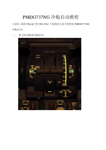 PMDG737NG冷舱启动图文教程