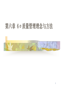 ch6 6σ质量管理理念与方法