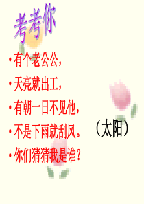 小学一年级《四个太阳》课件..