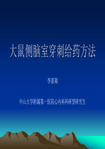 大鼠侧脑室穿刺给药方法