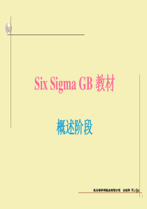 Six Sigma GB 教材概述阶段ppt32