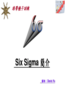 Six Sigma 基礎知識介紹