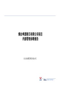 朝日啤酒 人力资源内部管理诊断报告