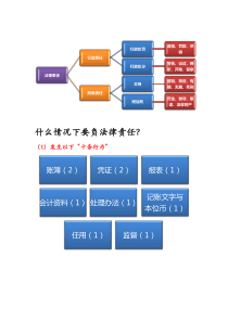 财经法规会计法律责任总结