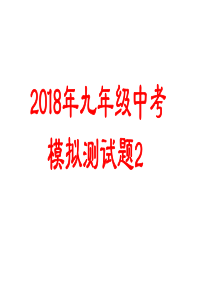 2018年九年级数学中考模拟试题2