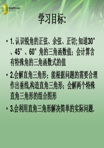 海南省文昌中学九年级数学下册 第28章《锐角三角函数》课件  新人教版