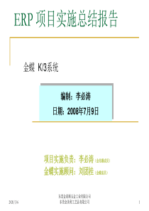 ERP_项目实施总结报告