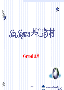 sixsigma基础教材-Control阶段(1)