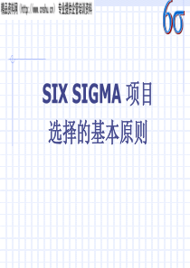 SIXSIGMA项目选择的基本原则