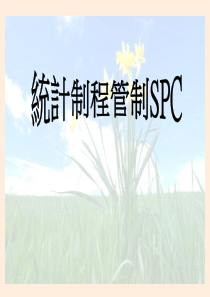 统计制程管制SPC（PPT 80）(1)