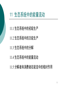 河南科技大学生态学课件第11章 生态系统中的能量流动