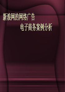 策划案例_新浪网络电子商务案例分析