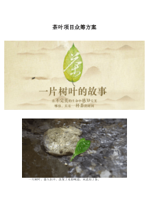 茶叶项目众筹方案