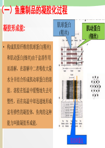 项目六 水产品腌熏技术