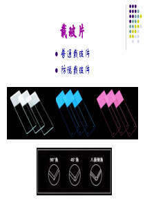 载玻片的使用情况介绍