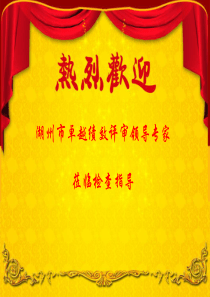 2.卓越绩效评审汇报材料