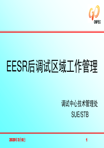 EESR后调试区域工作管理