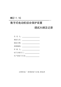 WDZ-1.1c数字式电动保护调试大纲及记录1