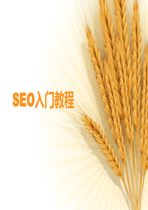 SEO入门教程