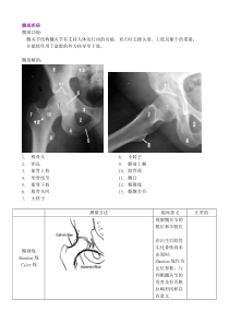 中医骨伤学笔记(二)