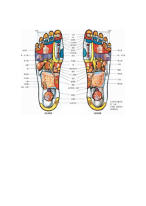 足底按摩知识大全(图)