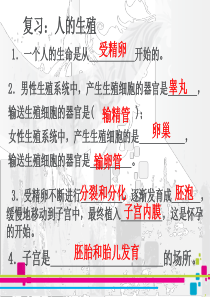 七年级生物下册第一章第三节青春期课件