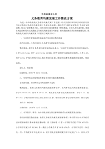 义务教育均衡发展整改方案