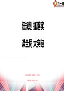 2015年开门红一阶段进度与数据经营策略推动30页