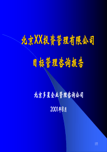 XX投资管理有限公司目标管理咨询报告