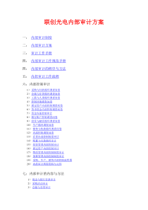 联创光电内部审计方案(初稿)