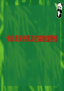 钢轨表面伤损及打磨的重要性