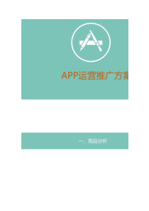 互联网 APP运营推广方案要点