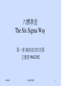 六标准差The Six Sigma Way（PPT 294页）