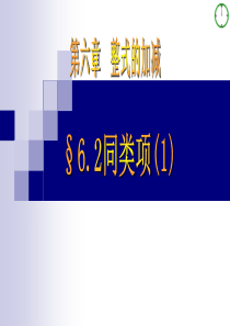 6.2同类项(1)