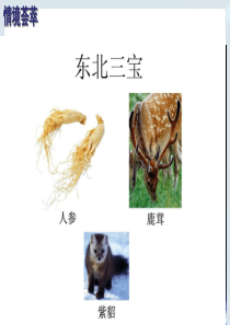 6.2白山黑水---东北三省