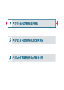 内控与全面风险管理解决方案