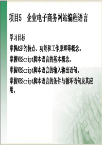 网站规划13企业电子商务网站编程语言