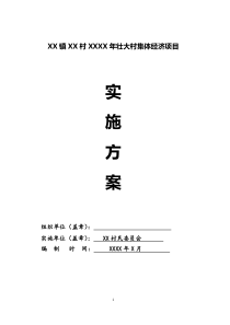 XX镇XX村发展壮大村集体经济基金村级使用实施方案