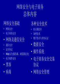 网络安全与电子商务（PPT89页)